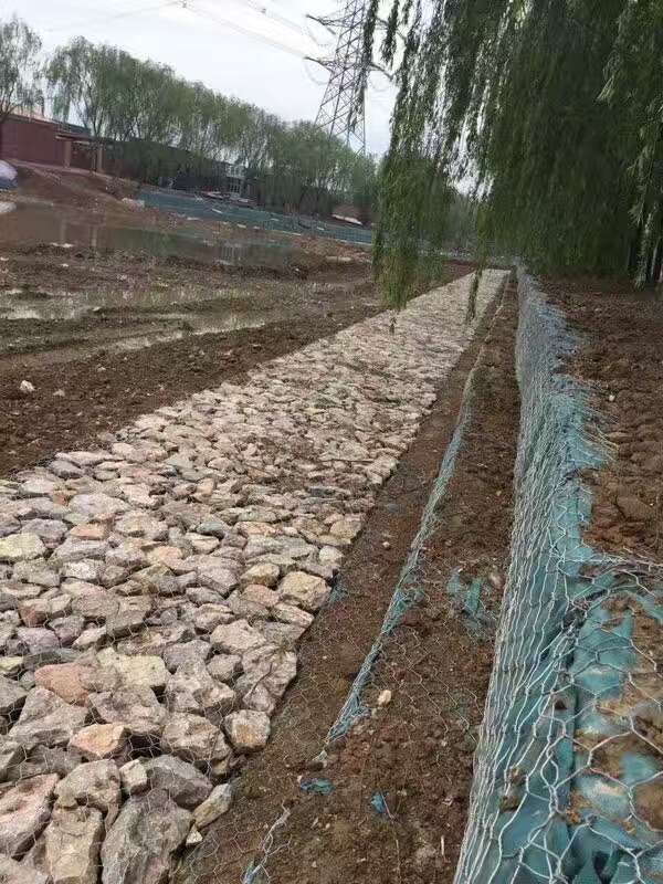 安徽省巢湖市巢湖北岸富磷区域水土流失防治工程