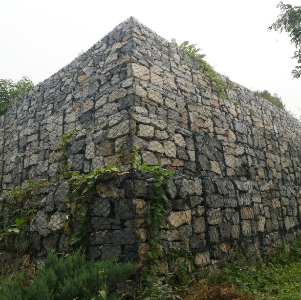 Ϳʯ15531868633