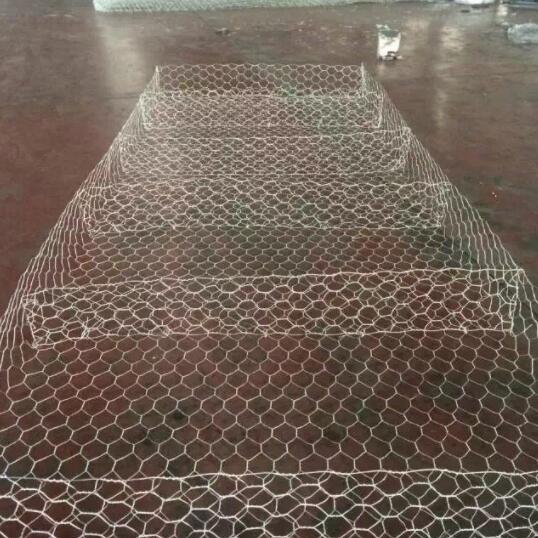 ŵ