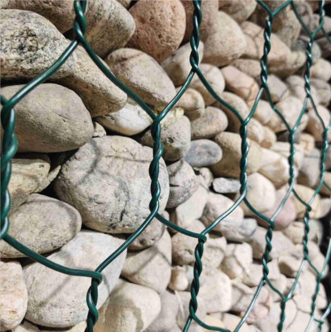ʺϹ̱